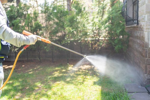 Best Affordable Pest Control Services  in Roswell, GA