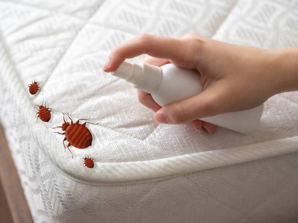 Professional Pest Control in Roswell, GA