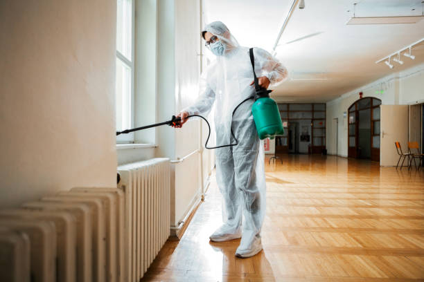 Best Local Pest Control Services  in Roswell, GA