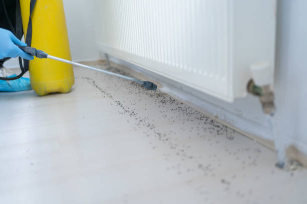 Best Pest Prevention Services  in Roswell, GA
