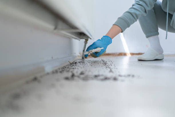 Best Cockroach Control Services  in Roswell, GA